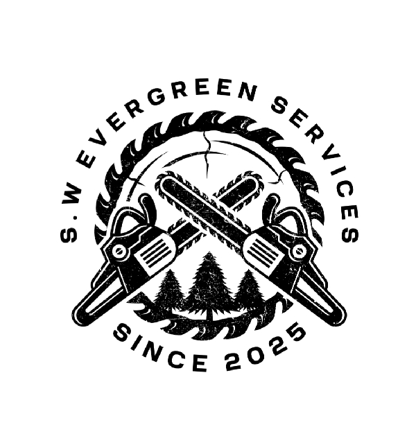 Sinapati Winterstein