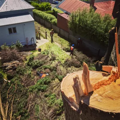 Tree Fix Tasmania Pty Ltd photo 3