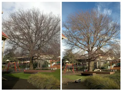 Tree Fix Tasmania Pty Ltd photo 5