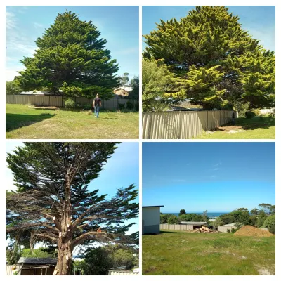 Tree Fix Tasmania Pty Ltd photo 4