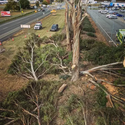 Tree Fix Tasmania Pty Ltd photo 2