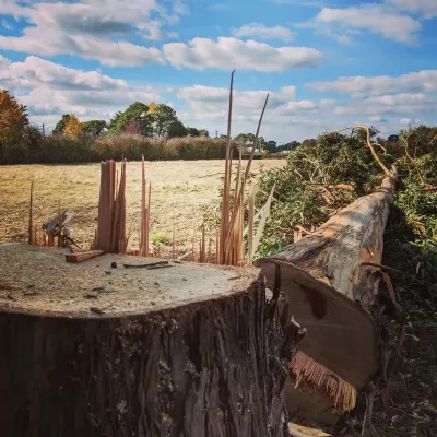 Tree Fix Tasmania Pty Ltd photo 1
