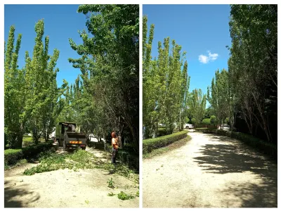 Tree Fix Tasmania Pty Ltd photo 7