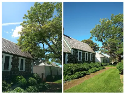 Tree Fix Tasmania Pty Ltd photo 6