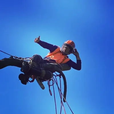 Tree Fix Tasmania Pty Ltd photo 11