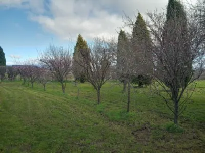 Tree Fix Tasmania Pty Ltd photo 15