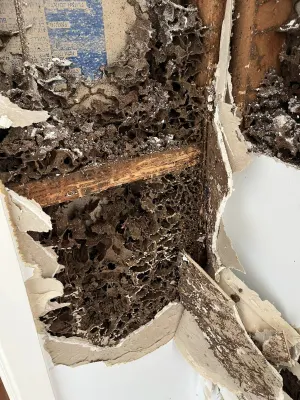 Bugtastic Pest Management photo 12