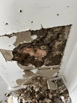 Bugtastic Pest Management photo 7