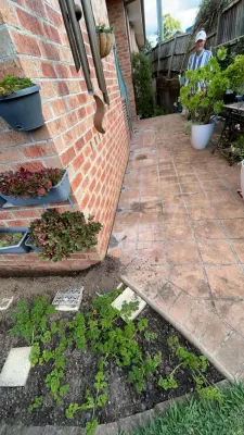 Bugtastic Pest Management photo 4