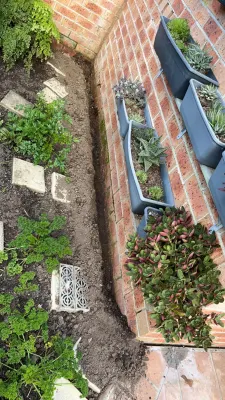 Bugtastic Pest Management photo 3