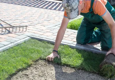 Ism Landscaping photo 6