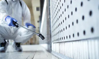 Protec pest control photo 2