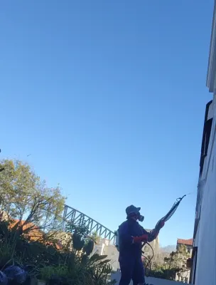 Cutting Edge Pest Solutions photo 2