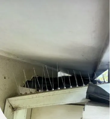 Jk Gutter Cleaning photo 2