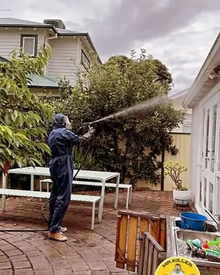 Mr.killer Pest Control photo 2