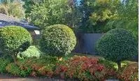 Glens Garden Maintenance