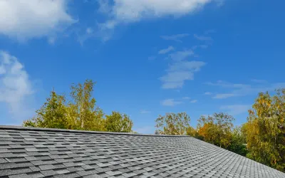 Dolphin Roofing photo 1