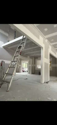 Platinum Plaster photo 1