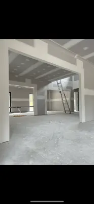 Platinum Plaster photo 5