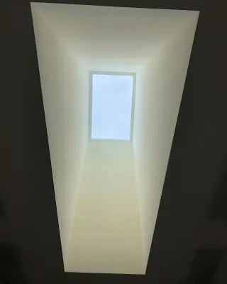 Platinum Plaster photo 9