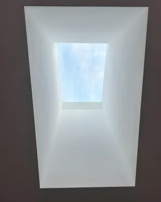 Platinum Plaster photo 10
