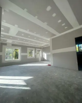 Platinum Plaster photo 8