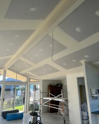 Platinum Plaster photo 11