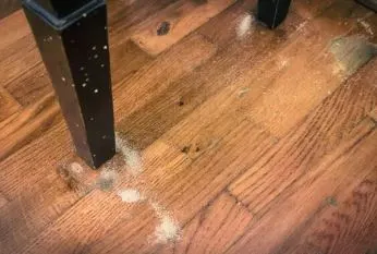 Absolute Flooring photo 1