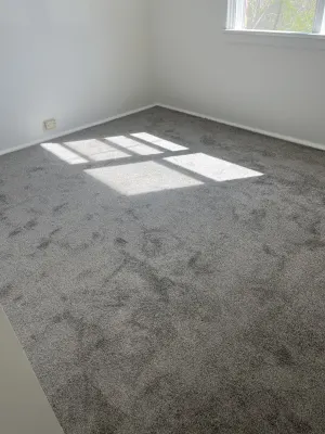 Tait Carpets photo 3