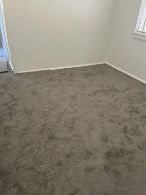 Tait Carpets photo 4
