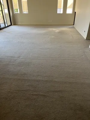 Tait Carpets photo 5