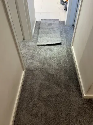 Tait Carpets photo 9