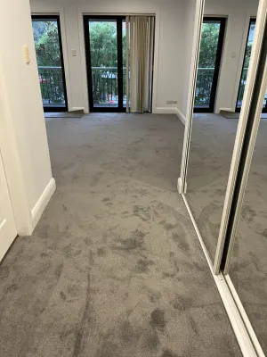 Tait Carpets photo 10