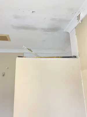 Todd Handyman & Property Maintenance Services photo 1