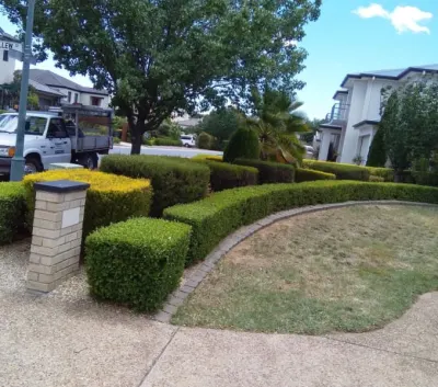 Thc Property & Garden Maintenance photo 6