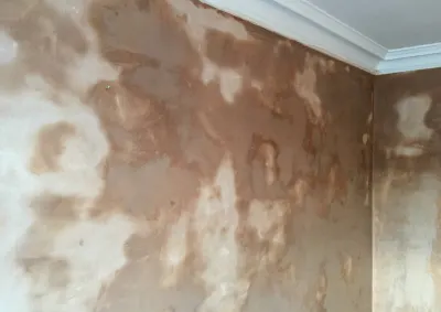 Ag Painting & Plastering Repair Services photo 4
