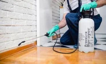 Bugspatrol Pest Management photo 3