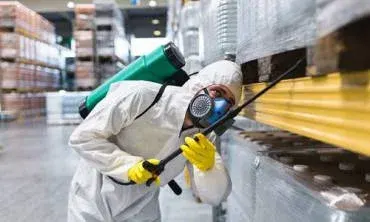 Bugspatrol Pest Management photo 4
