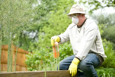 Bugspatrol Pest Management photo 1