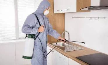 Bugspatrol Pest Management photo 2