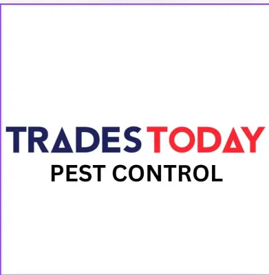 Trades Today