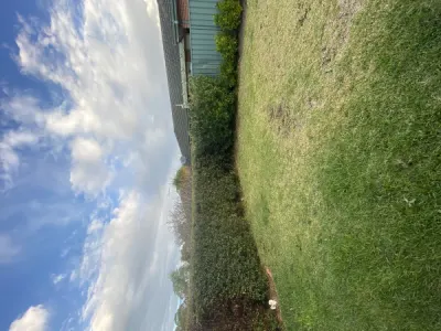 Blakes Landscape Garden Care photo 1