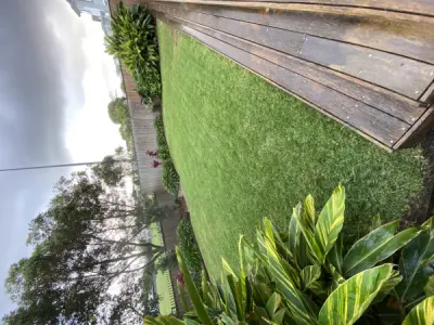 Blakes Landscape Garden Care photo 4