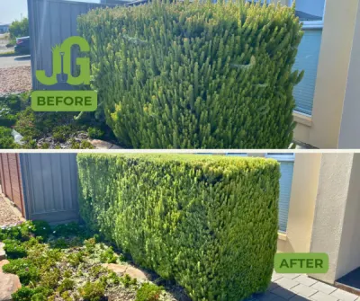 Jack' Gardening Sa photo 3