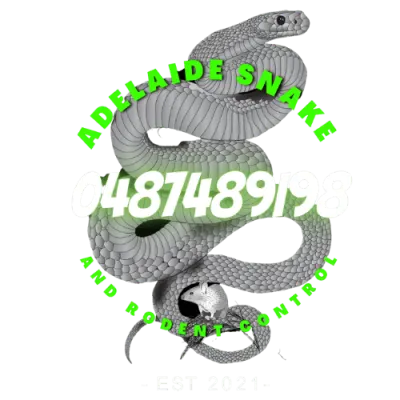 Adelaide Snake & Rodent Control