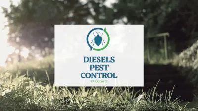 Discreet Pest Solutions