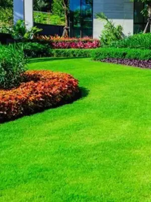 Sura Landscaping  Home Improvement photo 17
