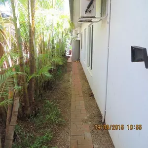 Image-2