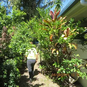 Image-3