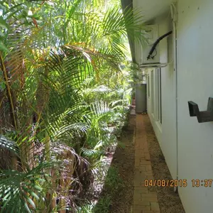 Image-1
